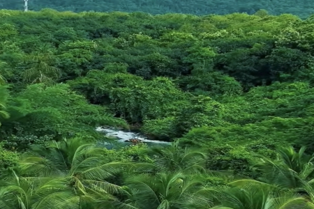 稀少好听的游戏名 稀少好听的游戏名