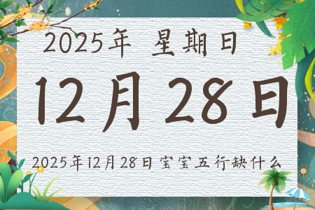 2025��12��28�ճ����ı�������ȱʲô