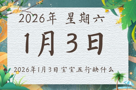 2026��1��3�ճ����ı�������ȱʲô