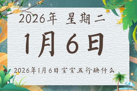 2026��1��6�ճ����ı�������ȱʲô