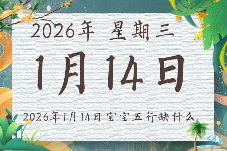 2026��1��14�ճ����ı�������ȱʲô