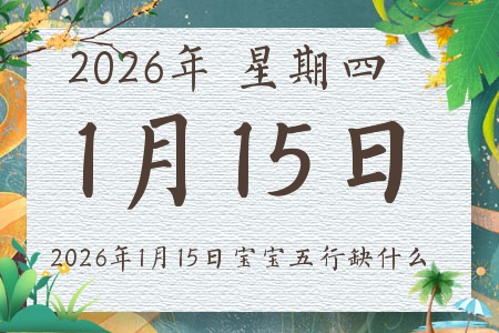 2026��1��15�ճ����ı�������ȱʲô