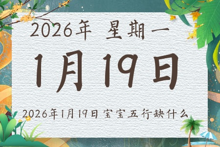 2026��1��19�ճ����ı�������ȱʲô