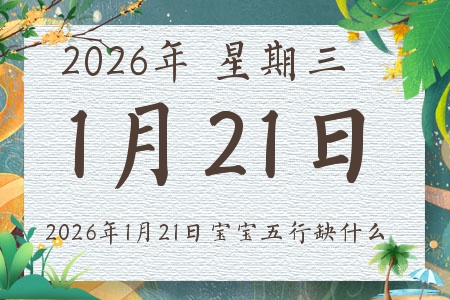 2026��1��21�ճ����ı�������ȱʲô