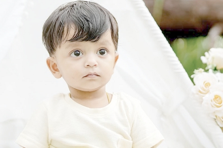 2026�������ص��к�����